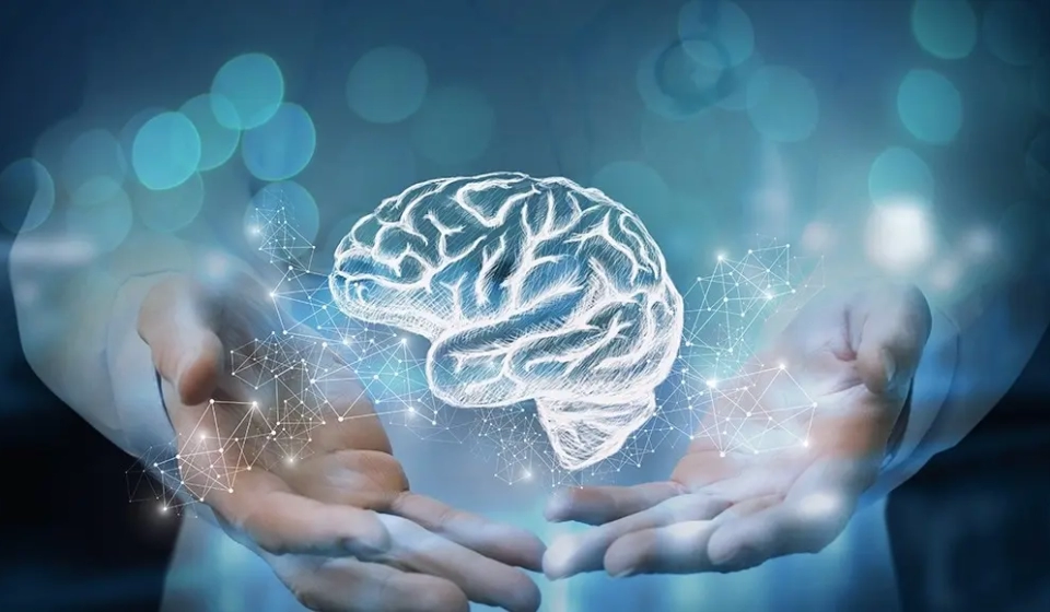 Imagen que muestra a un hombre sosteniendo un cerebro, indicando asi la importancia de la Neurología en CONEURO SAS